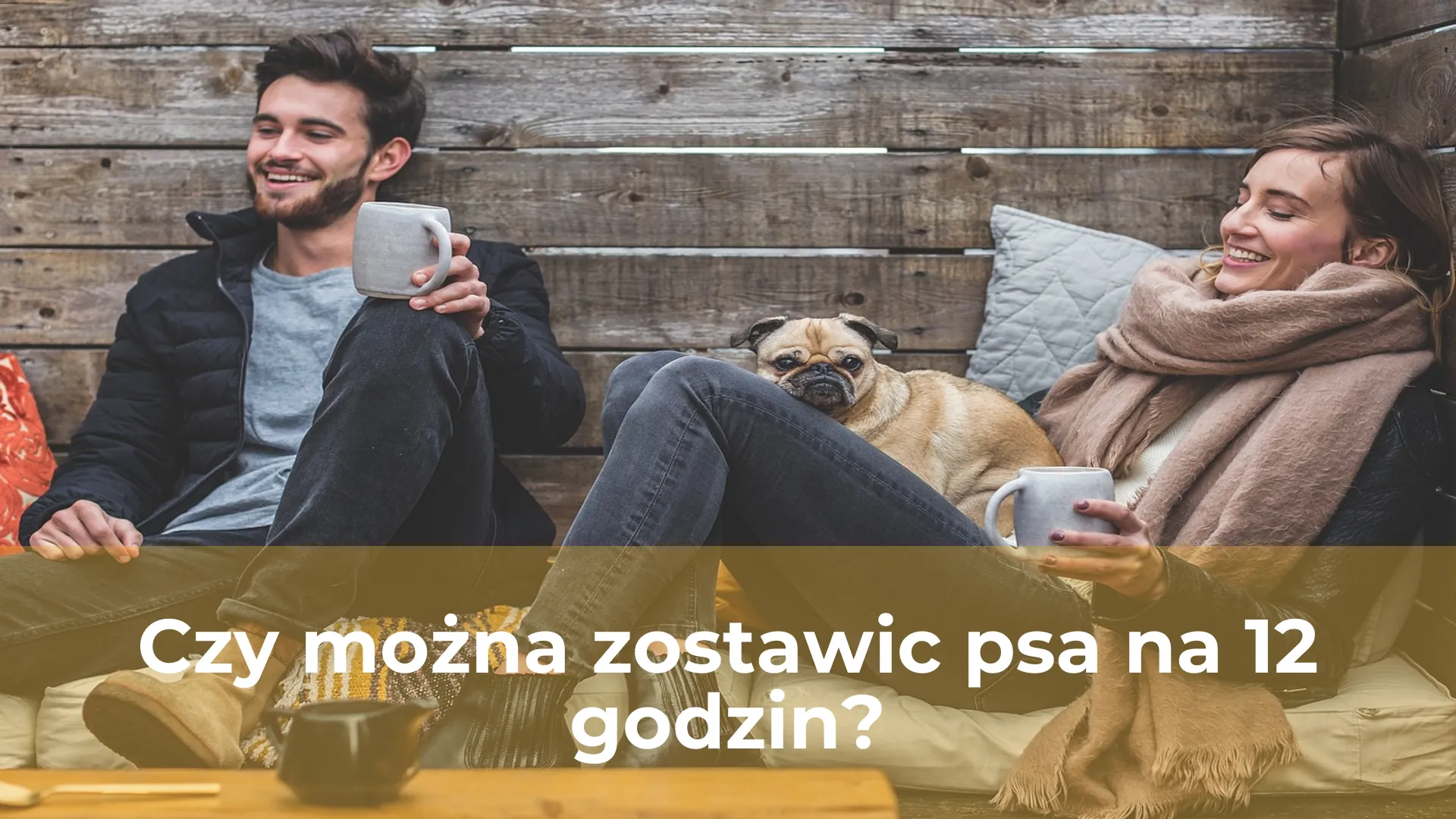 Czy można zostawic psa na 12 godzin