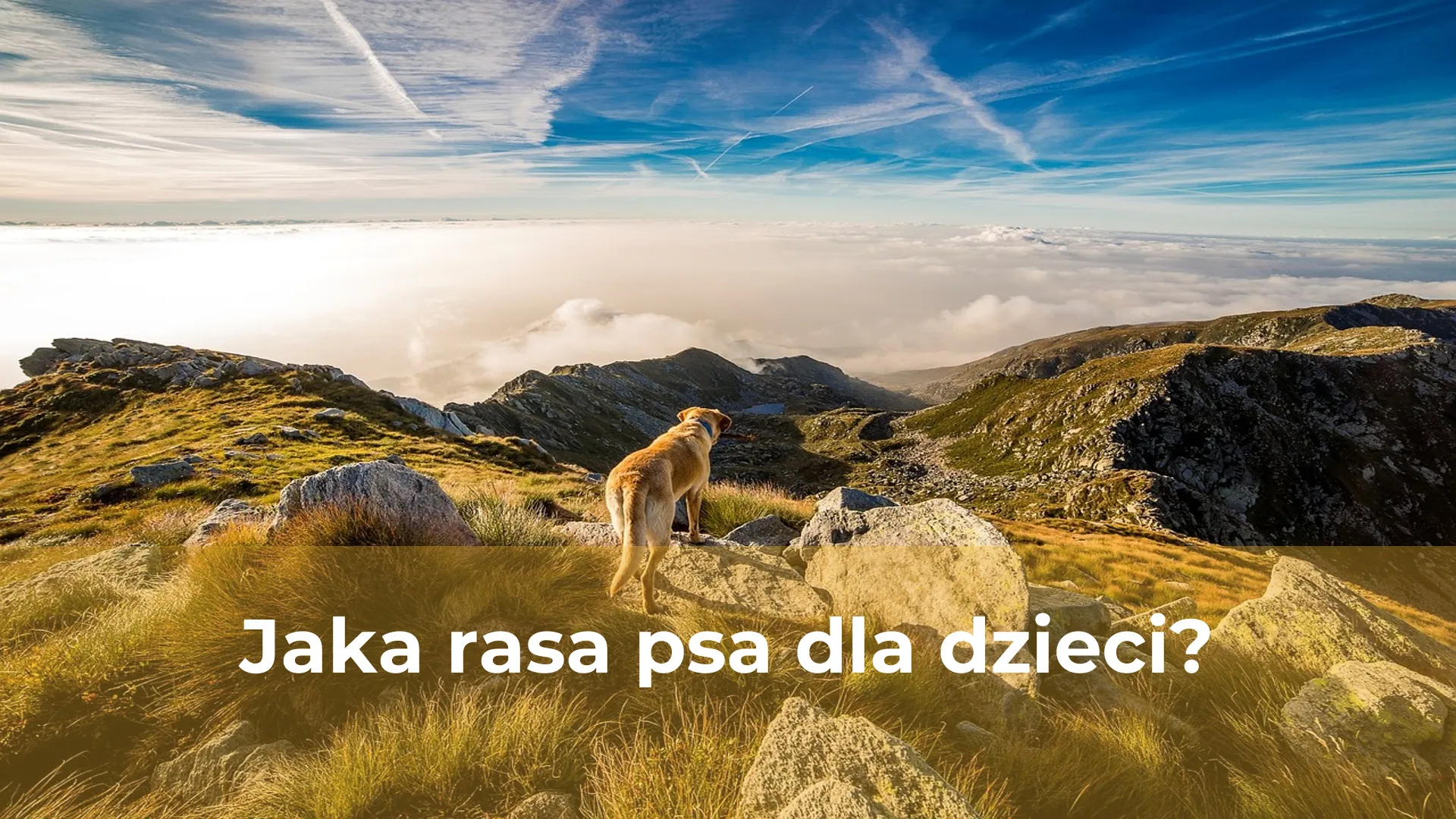 Jaka rasa psa dla dzieci