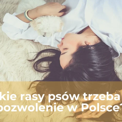 Na jakie rasy psów trzeba mieć pozwolenie w polsce